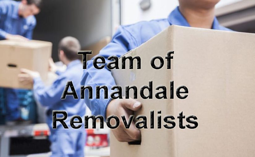 team-of-Annandale-Removalists